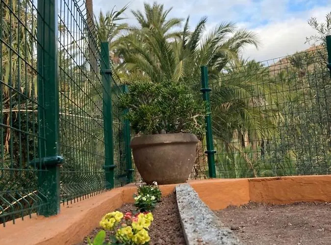 La Casa De Tea *